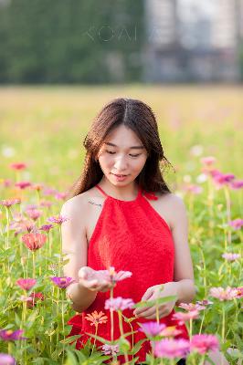 丁香花在线电影电视剧,丁香花电影高清在线观看完整版