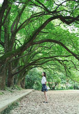 丁香花在线电影电视剧,丁香花电影高清在线观看完整版